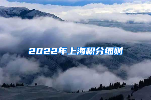 2022年上海积分细则