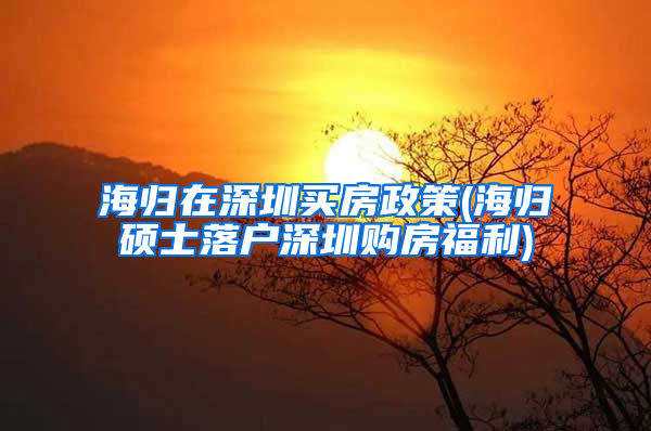 海归在深圳买房政策(海归硕士落户深圳购房福利)