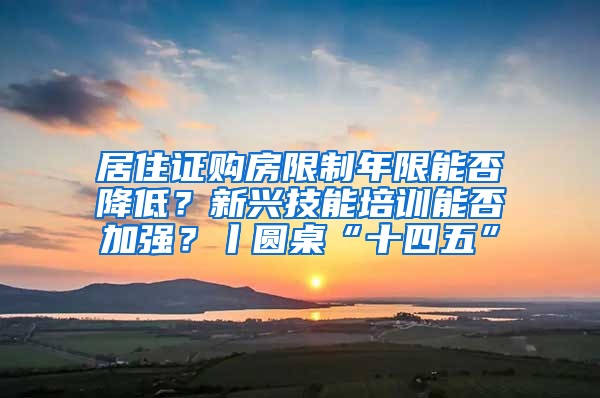 居住证购房限制年限能否降低？新兴技能培训能否加强？丨圆桌“十四五”