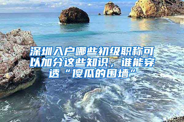 深圳入户哪些初级职称可以加分这些知识，谁能穿透“傻瓜的围墙”