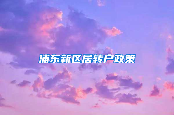 浦东新区居转户政策