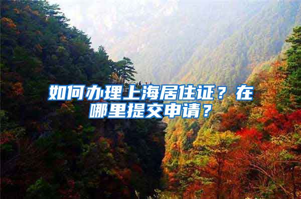 如何办理上海居住证？在哪里提交申请？