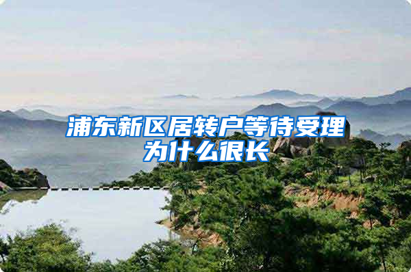 浦东新区居转户等待受理为什么很长