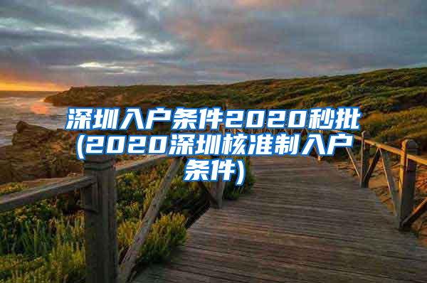 深圳入户条件2020秒批(2020深圳核准制入户条件)