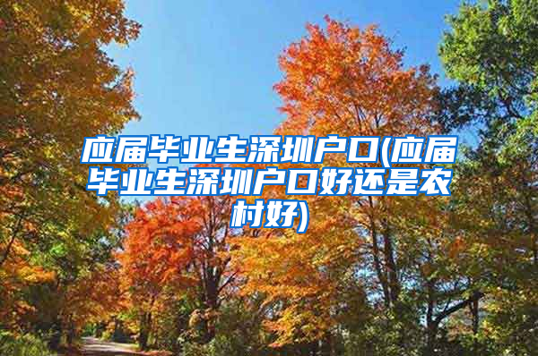 应届毕业生深圳户口(应届毕业生深圳户口好还是农村好)