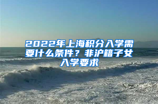 2022年上海积分入学需要什么条件？非沪籍子女入学要求