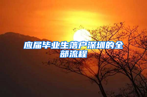 应届毕业生落户深圳的全部流程