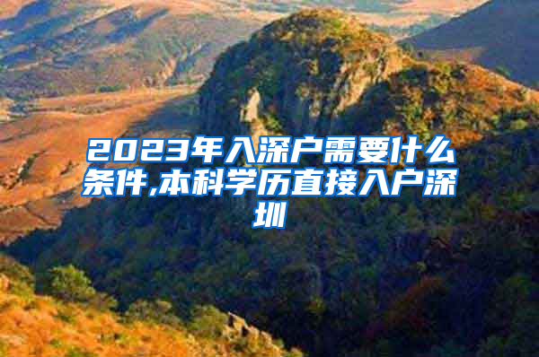 2023年入深户需要什么条件,本科学历直接入户深圳