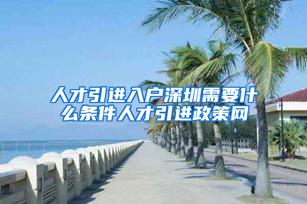 人才引进入户深圳需要什么条件人才引进政策网