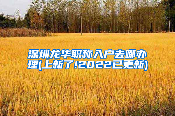 深圳龙华职称入户去哪办理(上新了!2022已更新)