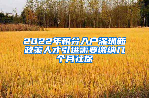 2022年积分入户深圳新政策人才引进需要缴纳几个月社保