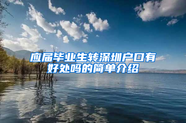 应届毕业生转深圳户口有好处吗的简单介绍