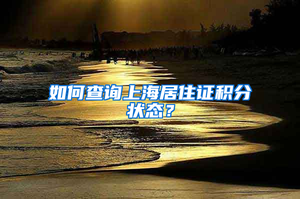 如何查询上海居住证积分状态？