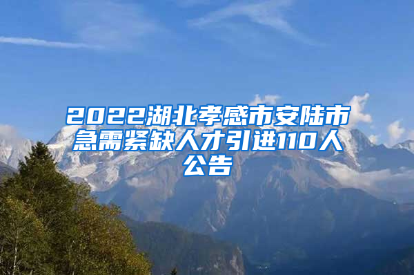 2022湖北孝感市安陆市急需紧缺人才引进110人公告