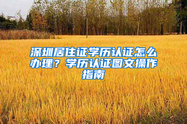 深圳居住证学历认证怎么办理？学历认证图文操作指南