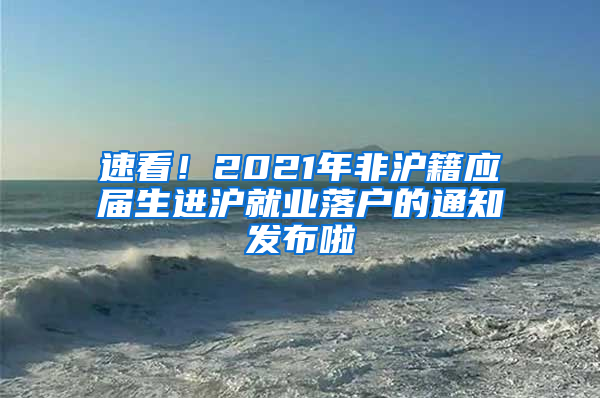 速看！2021年非沪籍应届生进沪就业落户的通知发布啦