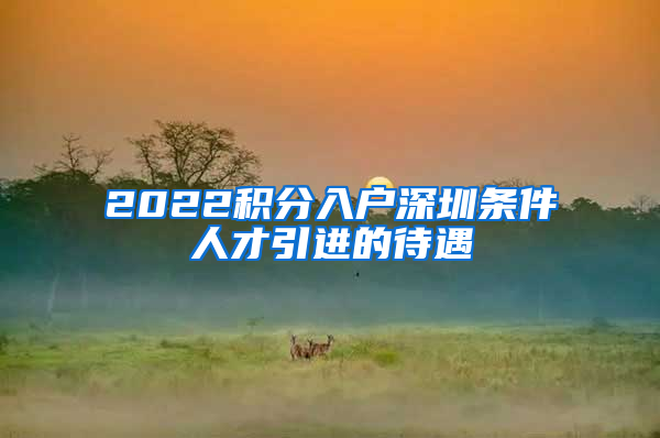 2022积分入户深圳条件人才引进的待遇