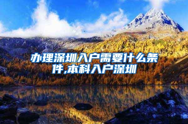 办理深圳入户需要什么条件,本科入户深圳