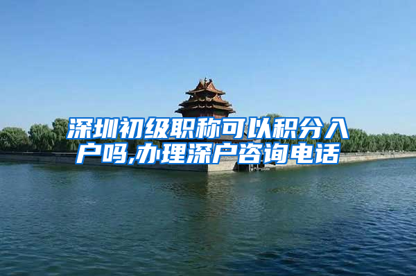 深圳初级职称可以积分入户吗,办理深户咨询电话