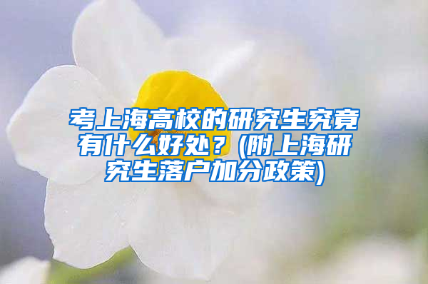 考上海高校的研究生究竟有什么好处？(附上海研究生落户加分政策)