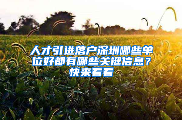 人才引进落户深圳哪些单位好都有哪些关键信息？快来看看