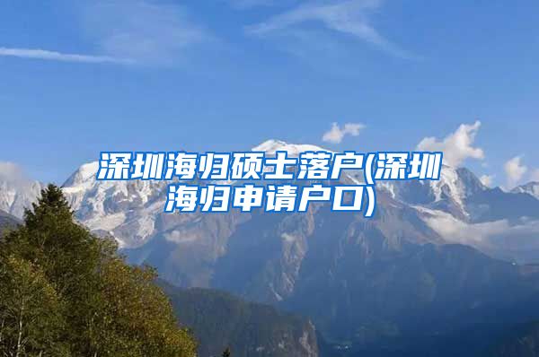 深圳海归硕士落户(深圳海归申请户口)
