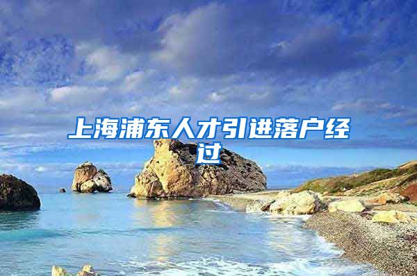 上海浦东人才引进落户经过