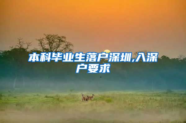本科毕业生落户深圳,入深户要求