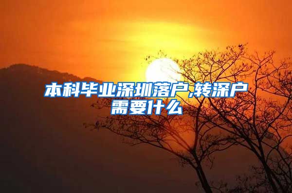 本科毕业深圳落户,转深户需要什么