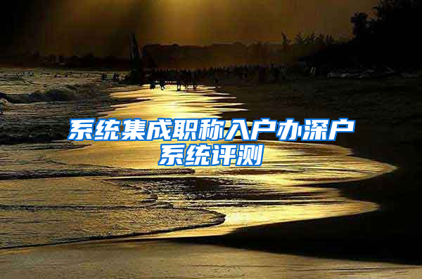 系统集成职称入户办深户系统评测
