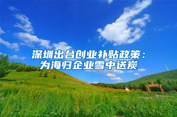 深圳出台创业补贴政策：为海归企业雪中送炭