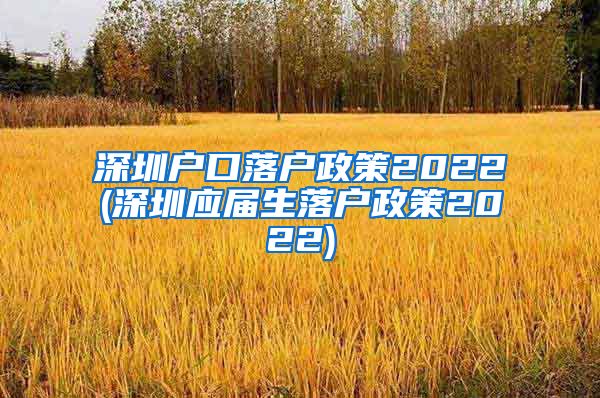 深圳户口落户政策2022(深圳应届生落户政策2022)