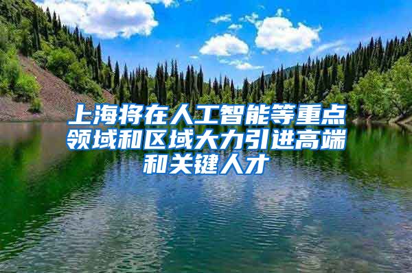 上海将在人工智能等重点领域和区域大力引进高端和关键人才