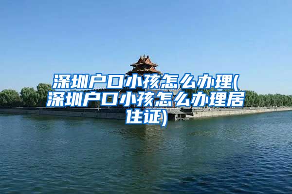 深圳户口小孩怎么办理(深圳户口小孩怎么办理居住证)