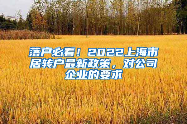 落户必看！2022上海市居转户最新政策，对公司企业的要求