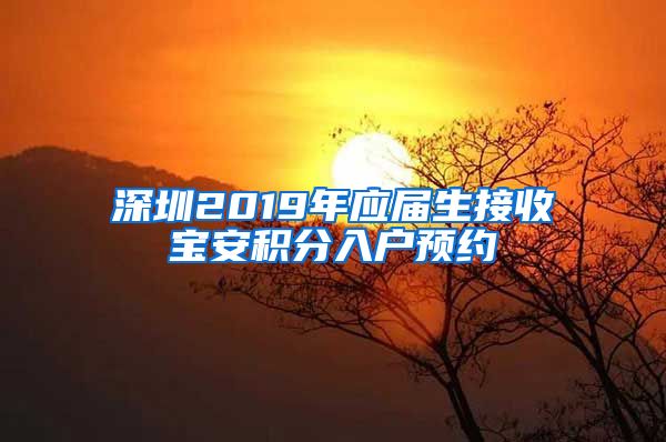 深圳2019年应届生接收宝安积分入户预约