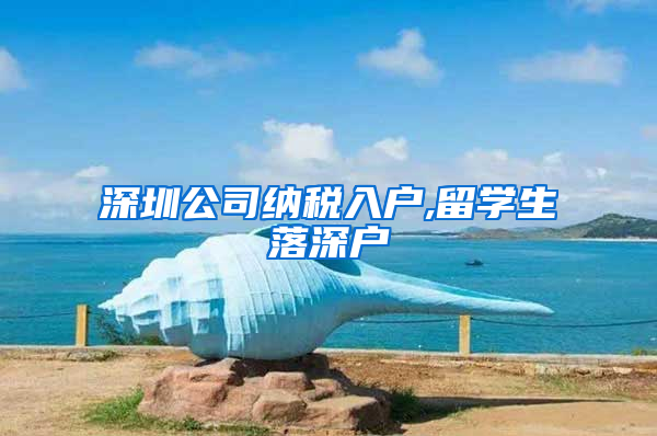深圳公司纳税入户,留学生落深户
