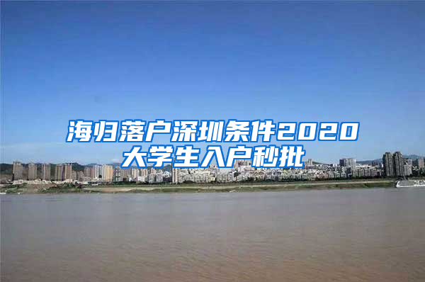 海归落户深圳条件2020大学生入户秒批