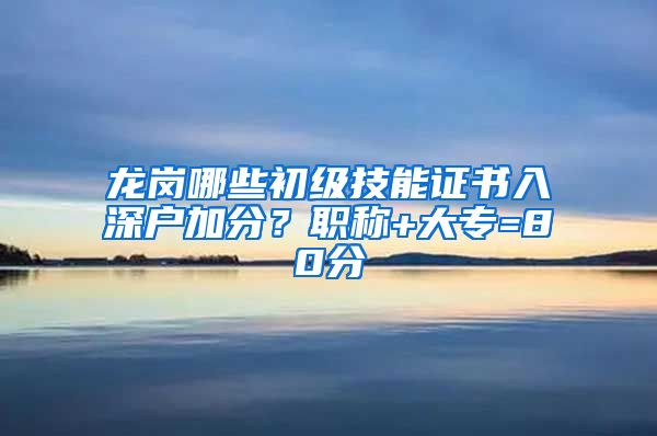 龙岗哪些初级技能证书入深户加分？职称+大专=80分