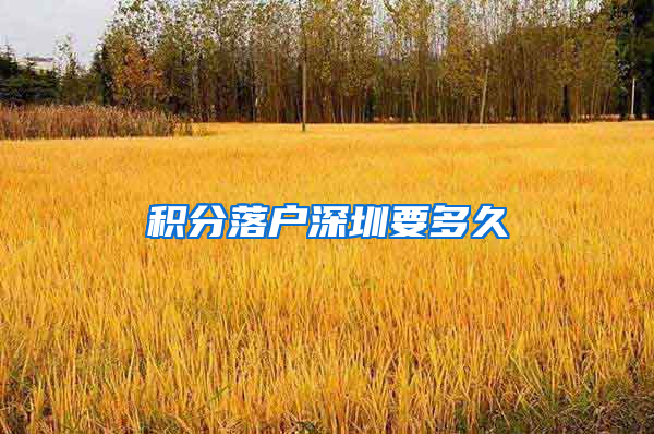 积分落户深圳要多久