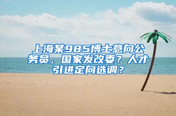 上海某985博士意向公务员，国家发改委？人才引进定向选调？