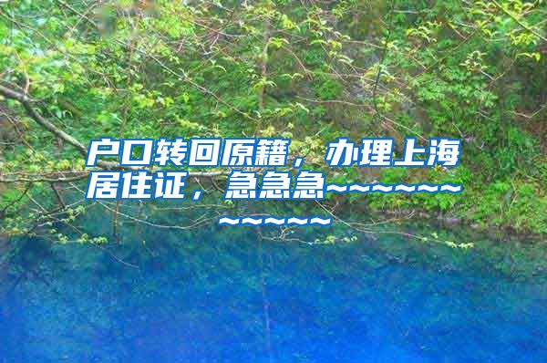 户口转回原籍，办理上海居住证，急急急~~~~~~~~~~~