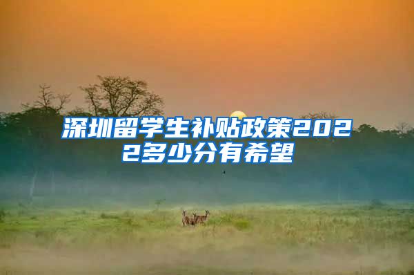 深圳留学生补贴政策2022多少分有希望