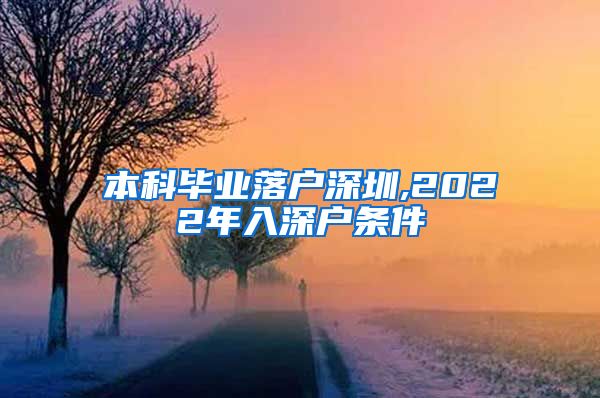 本科毕业落户深圳,2022年入深户条件