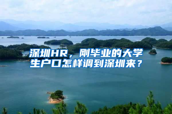 深圳HR，刚毕业的大学生户口怎样调到深圳来？