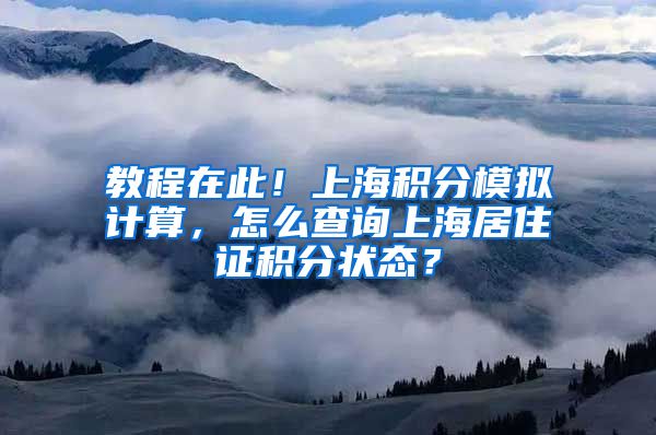 教程在此！上海积分模拟计算，怎么查询上海居住证积分状态？