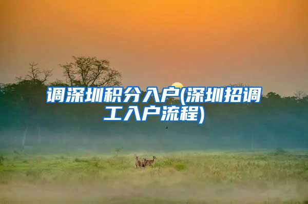 调深圳积分入户(深圳招调工入户流程)