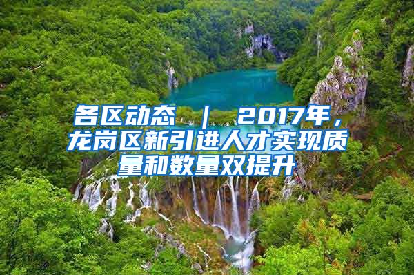 各区动态 ｜ 2017年，龙岗区新引进人才实现质量和数量双提升