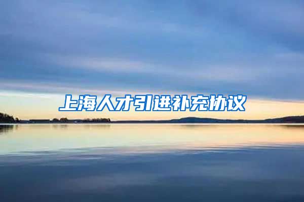 上海人才引进补充协议