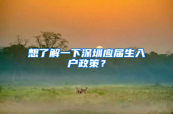 想了解一下深圳应届生入户政策？